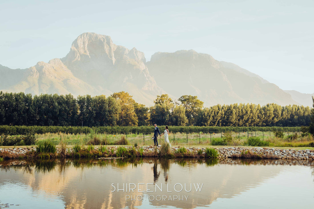 Bernadette & Brian - A Timeless Celebration at Boschendal Wine Estate, Cape Winelands